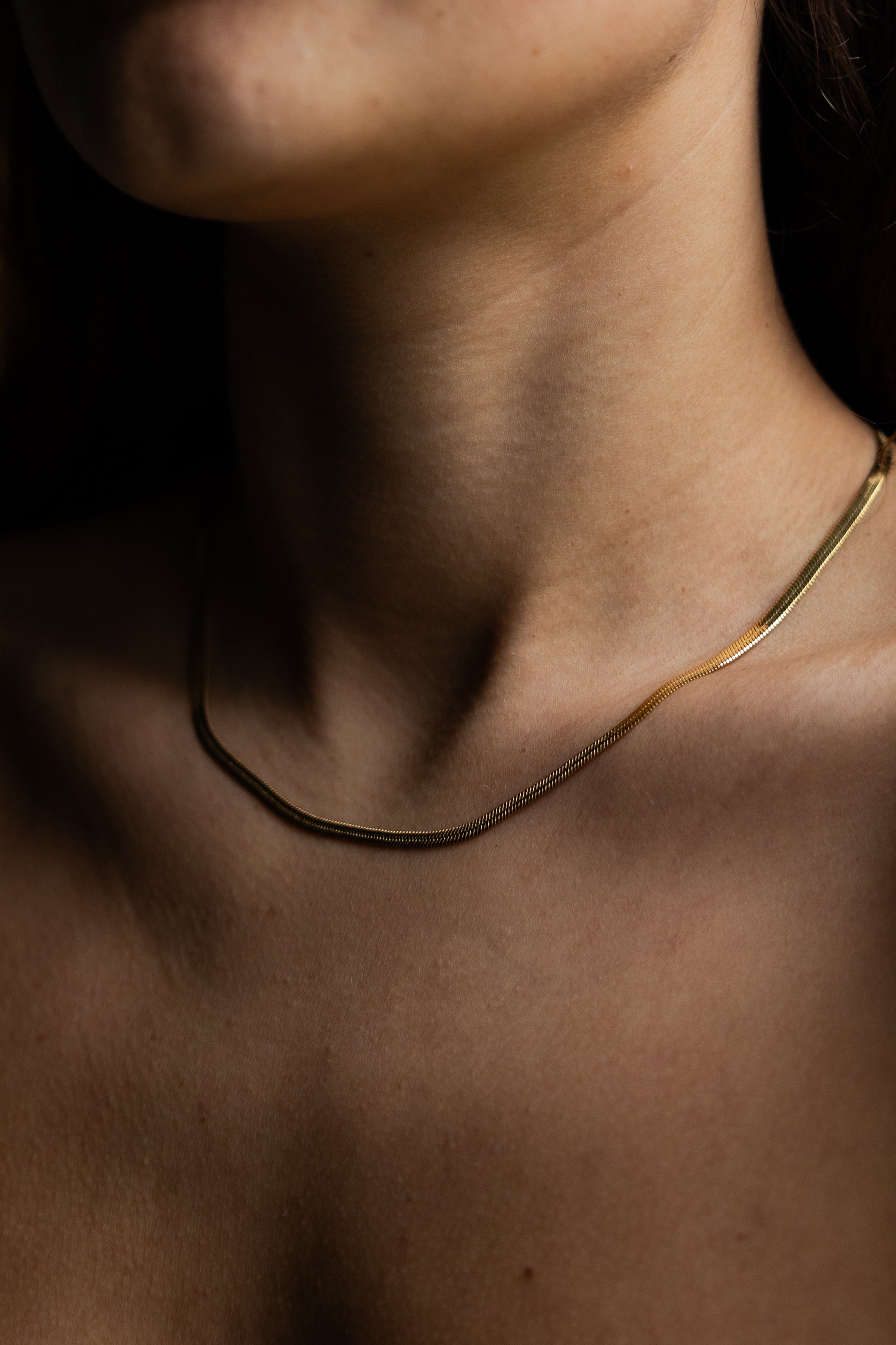 Snake ketting